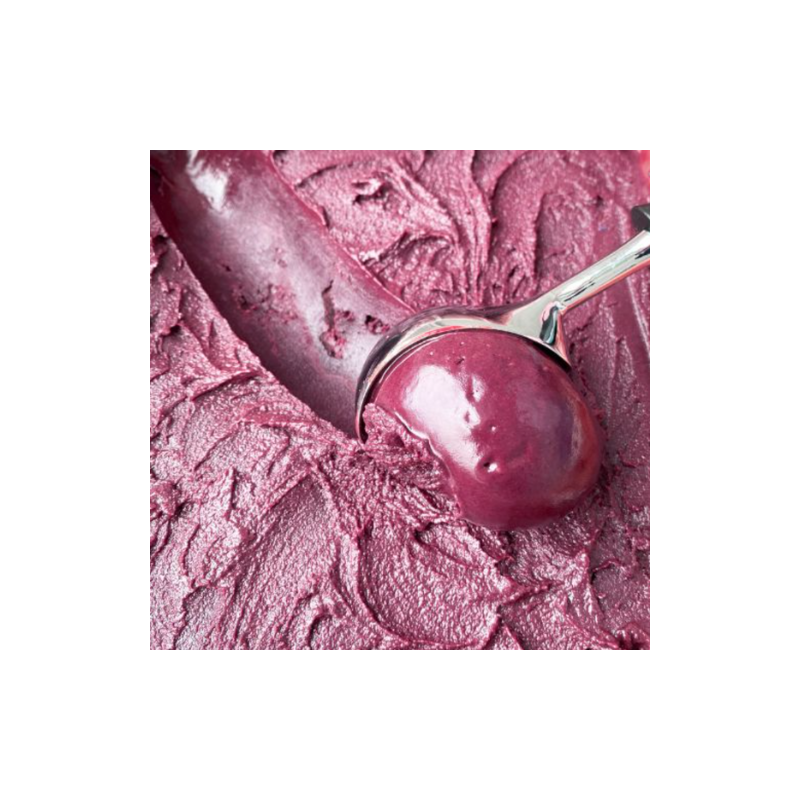 Lokali_kavarne_gostinci_Acai sladoled 6_kg_tropska_malica