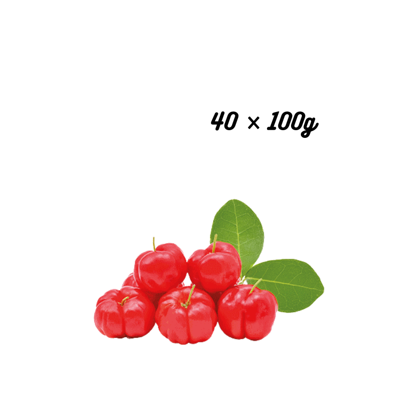 BIO ACEROLA sadni pire