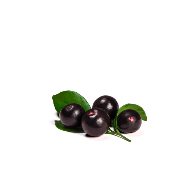 Acai Premium Tropska malica
