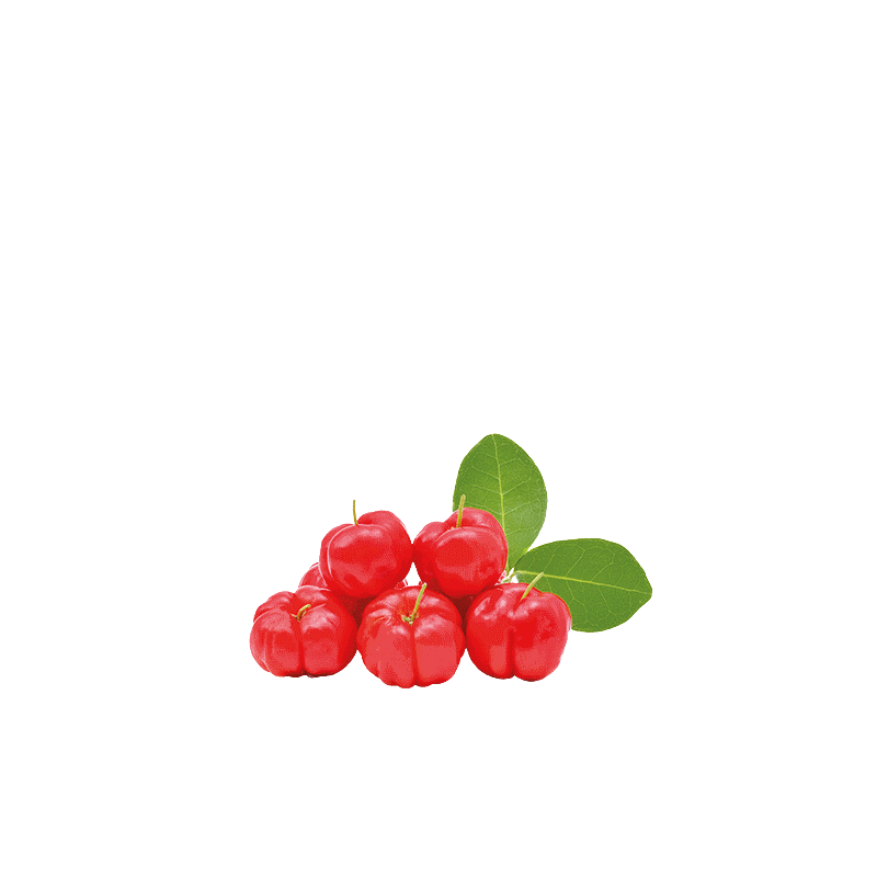 Acerola c vitamin tropska malica