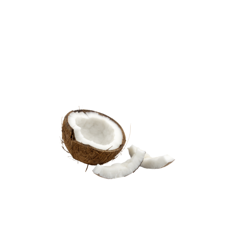 Kokos sadni pire Tropsla malica