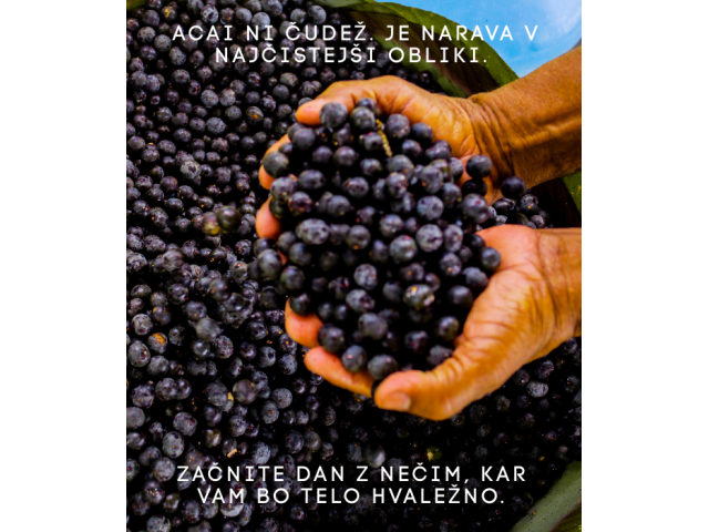 acai jagoda