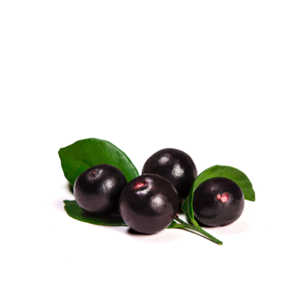 Acai Premium Tropska malica