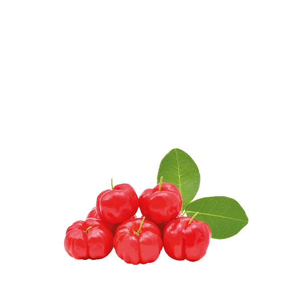 Acerola c vitamin tropska malica