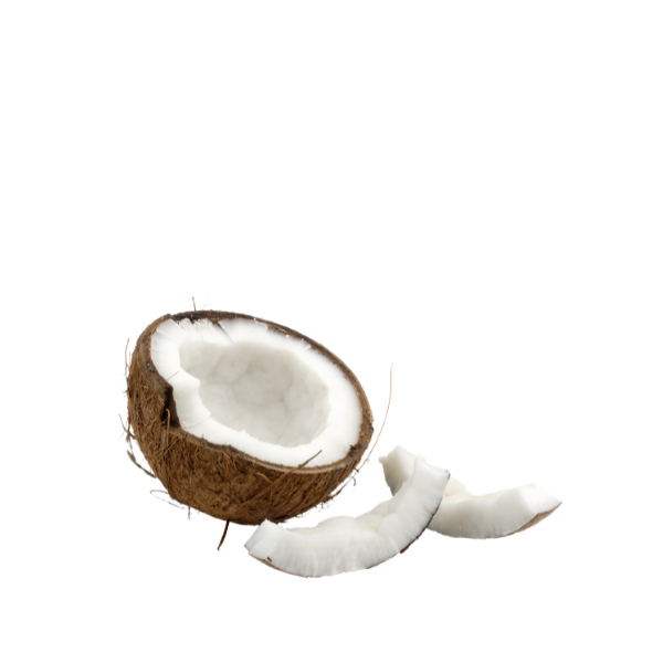 Kokos sadni pire Tropsla malica
