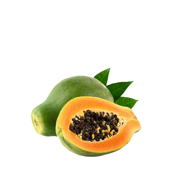 Papaja sadni pire tropska malica